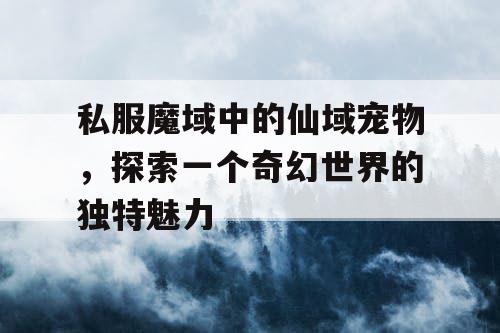 私服魔域中的仙域宠物，探索一个奇幻世界的独特魅力