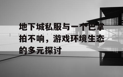 地下城私服与一个巴掌拍不响,游戏环境生态的多元探讨 地下城私服与一个巴掌拍不响,游戏环境生态的多元探讨
