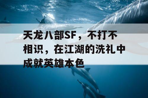 天龙八部SF，不打不相识，在江湖的洗礼中成就英雄本色