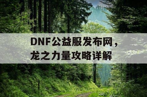 DNF公益服发布网,龙之力量攻略详解 DNF公益服发布网,龙之力量攻略详解