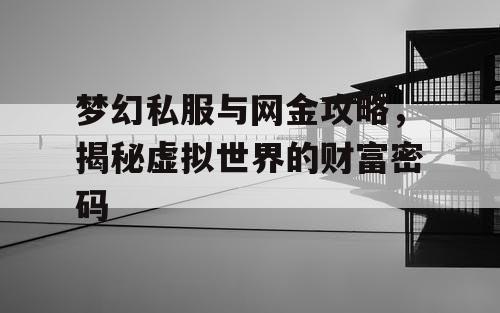 梦幻私服与网金攻略,揭秘虚拟世界的财富密码 梦幻私服与网金攻略,揭秘虚拟世界的财富密码