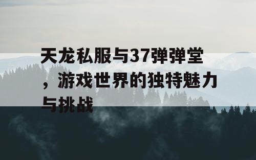 天龙私服与37弹弹堂，游戏世界的独特魅力与挑战