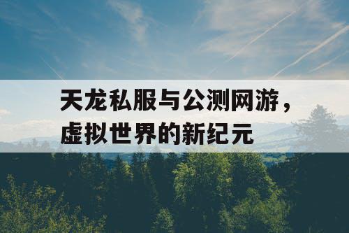 天龙私服与公测网游，虚拟世界的新纪元