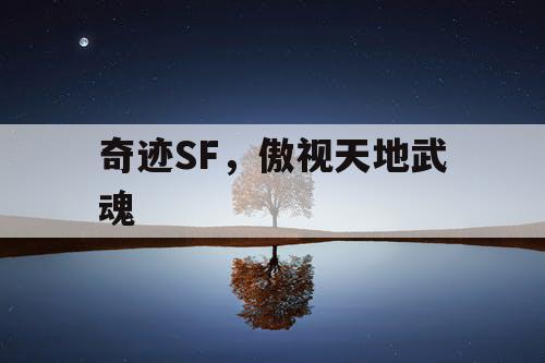 奇迹SF,傲视天地武魂 奇迹SF,傲视天地武魂