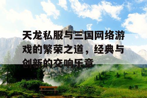 天龙私服与三国网络游戏的繁荣之道，经典与创新的交响乐章