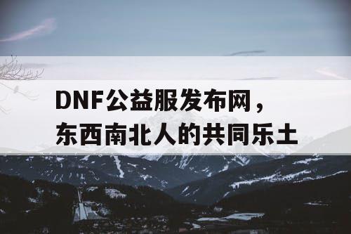 DNF公益服发布网，东西南北人的共同乐土