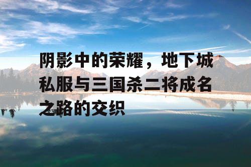 阴影中的荣耀，地下城私服与三国杀二将成名之路的交织