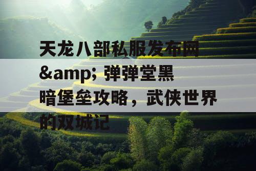 天龙八部私服发布网 & 弹弹堂黑暗堡垒攻略，武侠世界的双城记