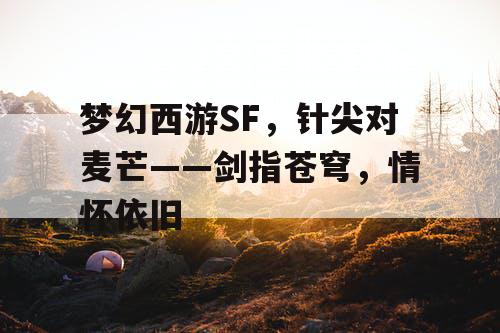 梦幻西游SF，针尖对麦芒——剑指苍穹，情怀依旧