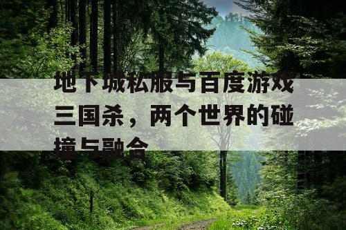 地下城私服与百度游戏三国杀，两个世界的碰撞与融合
