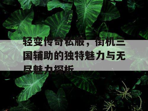 轻变传奇私服，街机三国辅助的独特魅力与无尽魅力探析
