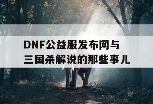 DNF公益服发布网与三国杀解说的那些事儿