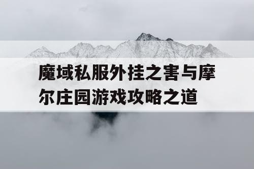 魔域私服外挂之害与摩尔庄园游戏攻略之道