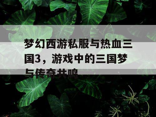 梦幻西游私服与热血三国3,游戏中的三国梦与传奇共鸣 梦幻西游私服与热血三国3,游戏中的三国梦与传奇共鸣