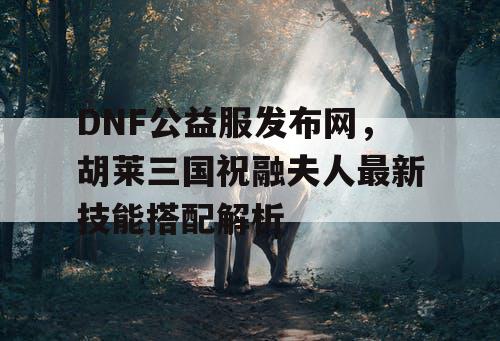 DNF公益服发布网，胡莱三国祝融夫人最新技能搭配解析