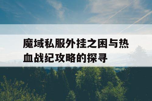 魔域私服外挂之困与热血战纪攻略的探寻