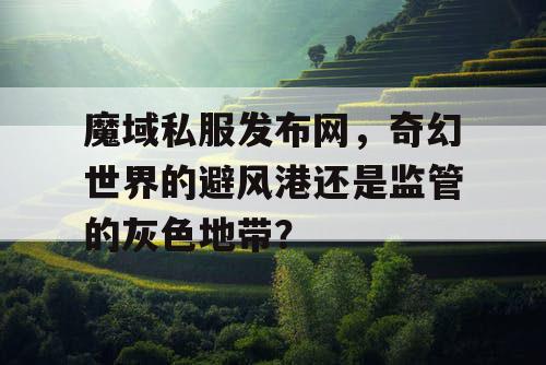 魔域私服发布网,奇幻世界的避风港还是监管的灰色地带? 魔域私服发布网,奇幻世界的避风港还是监管的灰色地带?
