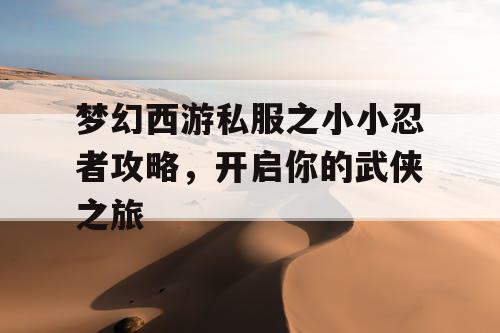 梦幻西游私服之小小忍者攻略，开启你的武侠之旅