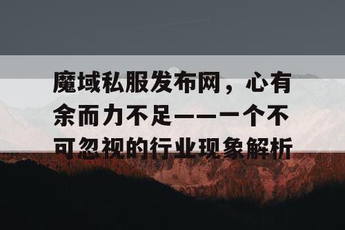 魔域私服发布网，心有余而力不足——一个不可忽视的行业现象解析