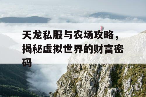 天龙私服与农场攻略，揭秘虚拟世界的财富密码