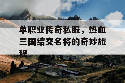 单职业传奇私服，热血三国结交名将的奇妙旅程