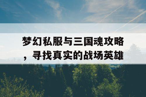 梦幻私服与三国魂攻略，寻找真实的战场英雄