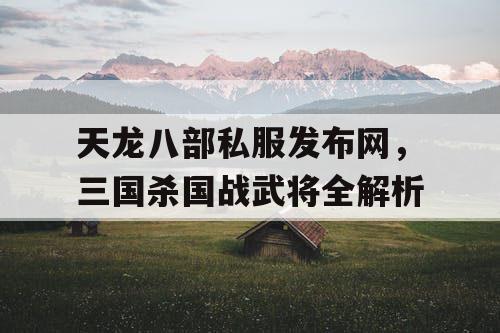 天龙八部私服发布网,三国杀国战武将全解析 天龙八部私服发布网,三国杀国战武将全解析
