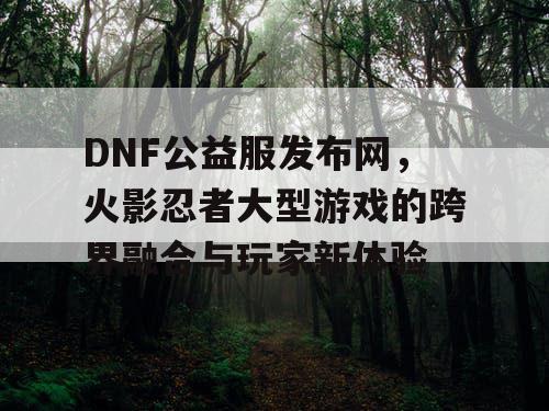 DNF公益服发布网，火影忍者大型游戏的跨界融合与玩家新体验