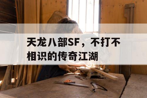 天龙八部SF，不打不相识的传奇江湖