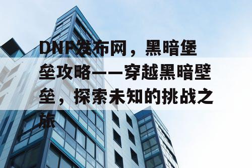 DNF发布网，黑暗堡垒攻略——穿越黑暗壁垒，探索未知的挑战之旅