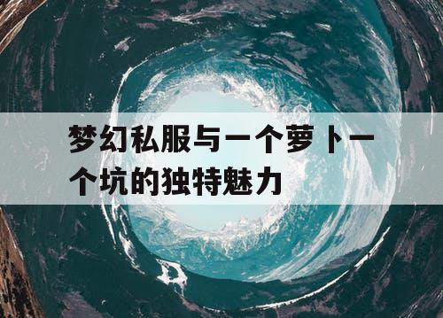 梦幻私服与一个萝卜一个坑的独特魅力