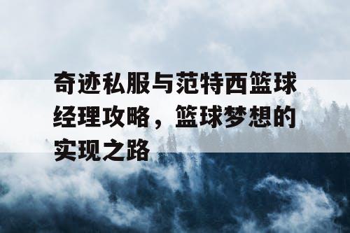 奇迹私服与范特西篮球经理攻略，篮球梦想的实现之路