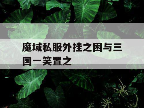 魔域私服外挂之困与三国一笑置之