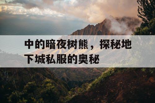 中的暗夜树熊，探秘地下城私服的奥秘