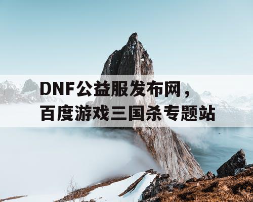 DNF公益服发布网，百度游戏三国杀专题站