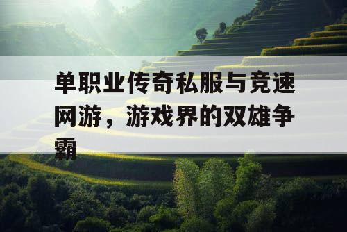 单职业传奇私服与竞速网游，游戏界的双雄争霸