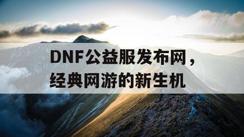 DNF公益服发布网，经典网游的新生机