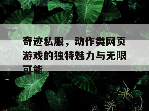 奇迹私服，动作类网页游戏的独特魅力与无限可能
