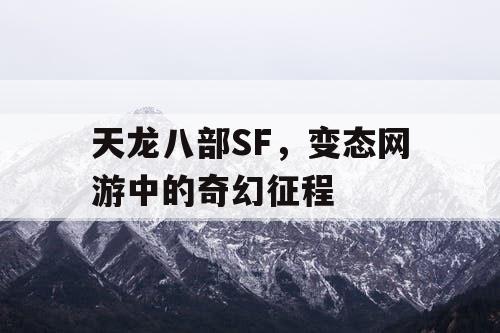 天龙八部SF，变态网游中的奇幻征程