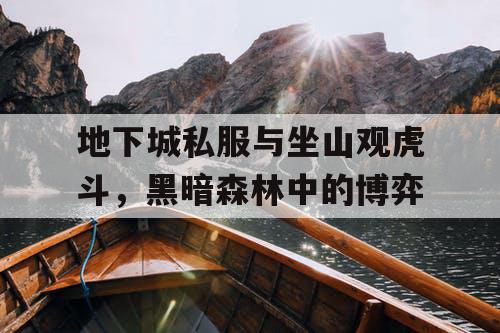 地下城私服与坐山观虎斗，黑暗森林中的博弈