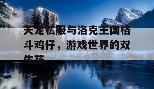 天龙私服与洛克王国格斗鸡仔，游戏世界的双生花