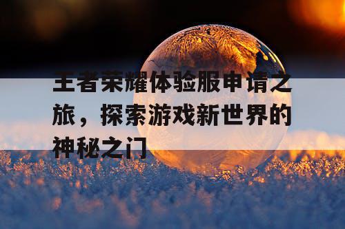 王者荣耀体验服申请之旅，探索游戏新世界的神秘之门