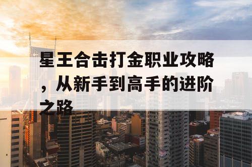 星王合击打金职业攻略,从新手到高手的进阶之路 星王合击打金职业攻略,从新手到高手的进阶之路