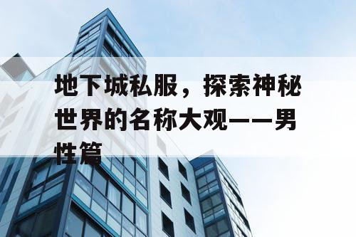 地下城私服，探索神秘世界的名称大观——男性篇