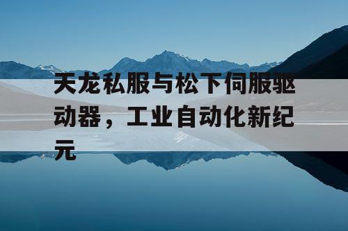 天龙私服与松下伺服驱动器,工业自动化新纪元 天龙私服与松下伺服驱动器,工业自动化新纪元