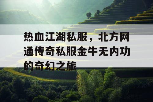 热血江湖私服，北方网通传奇私服金牛无内功的奇幻之旅