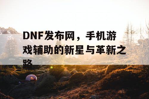 DNF发布网，手机游戏辅助的新星与革新之路