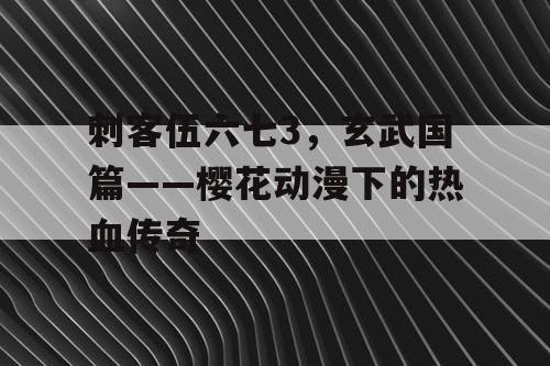 刺客伍六七3，玄武国篇——樱花动漫下的热血传奇