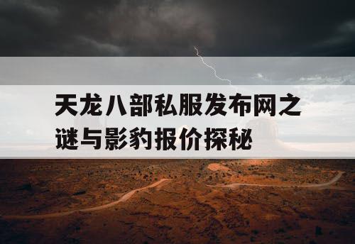 天龙八部私服发布网之谜与影豹报价探秘