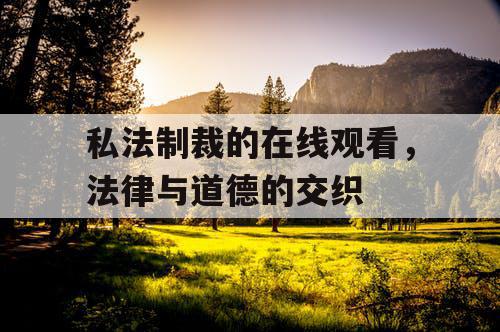 私法制裁的在线观看,法律与道德的交织 私法制裁的在线观看,法律与道德的交织